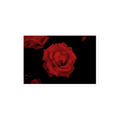 A medium rectangular vinyl sticker with an image of a vivid red rose design.