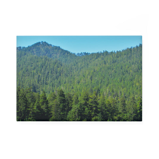 A rectangular button magnet with an image of a dense green redwood forest on a mountain range.