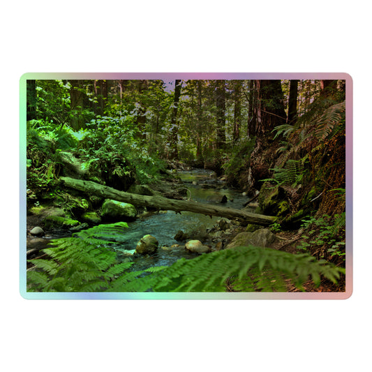 A large rectangular holographic sticker with an image of a creek through a redwood forest with ferns.