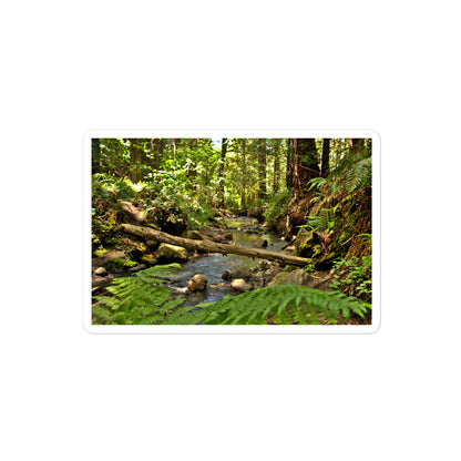 A medium rectangular vinyl sticker with an image of a creek in a redwood forest with ferns.
