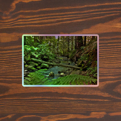 Lifestyle photo of a rectangular holographic sticker with an image of a creek through a redwood forest with ferns, placed on a table with two small succulents.