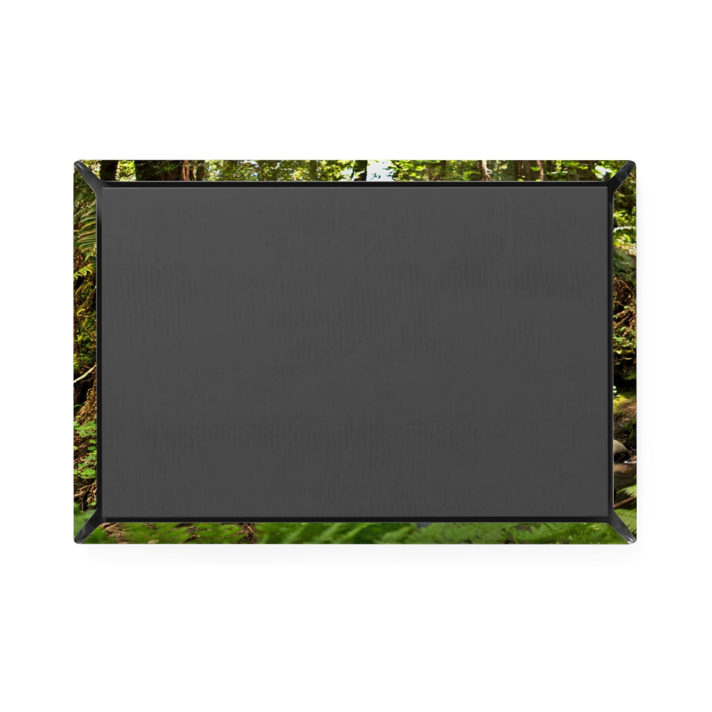 Back view of a rectangular button magnet.
