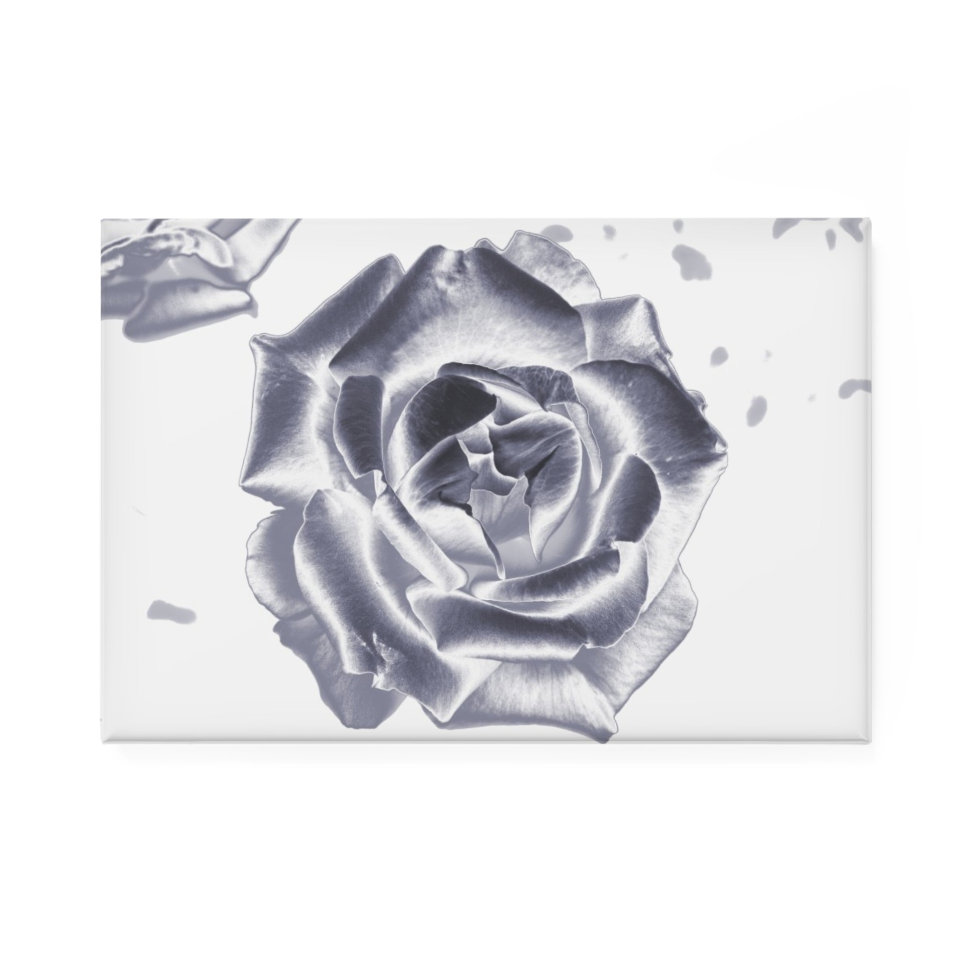 A rectangular button magnet with an image of a silver reflective rose design.