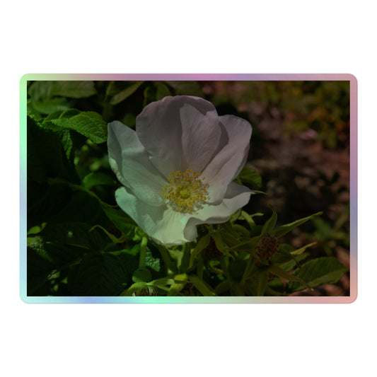 A large rectangular holographic sticker with a close-up image of a white flower with yellow stamen.