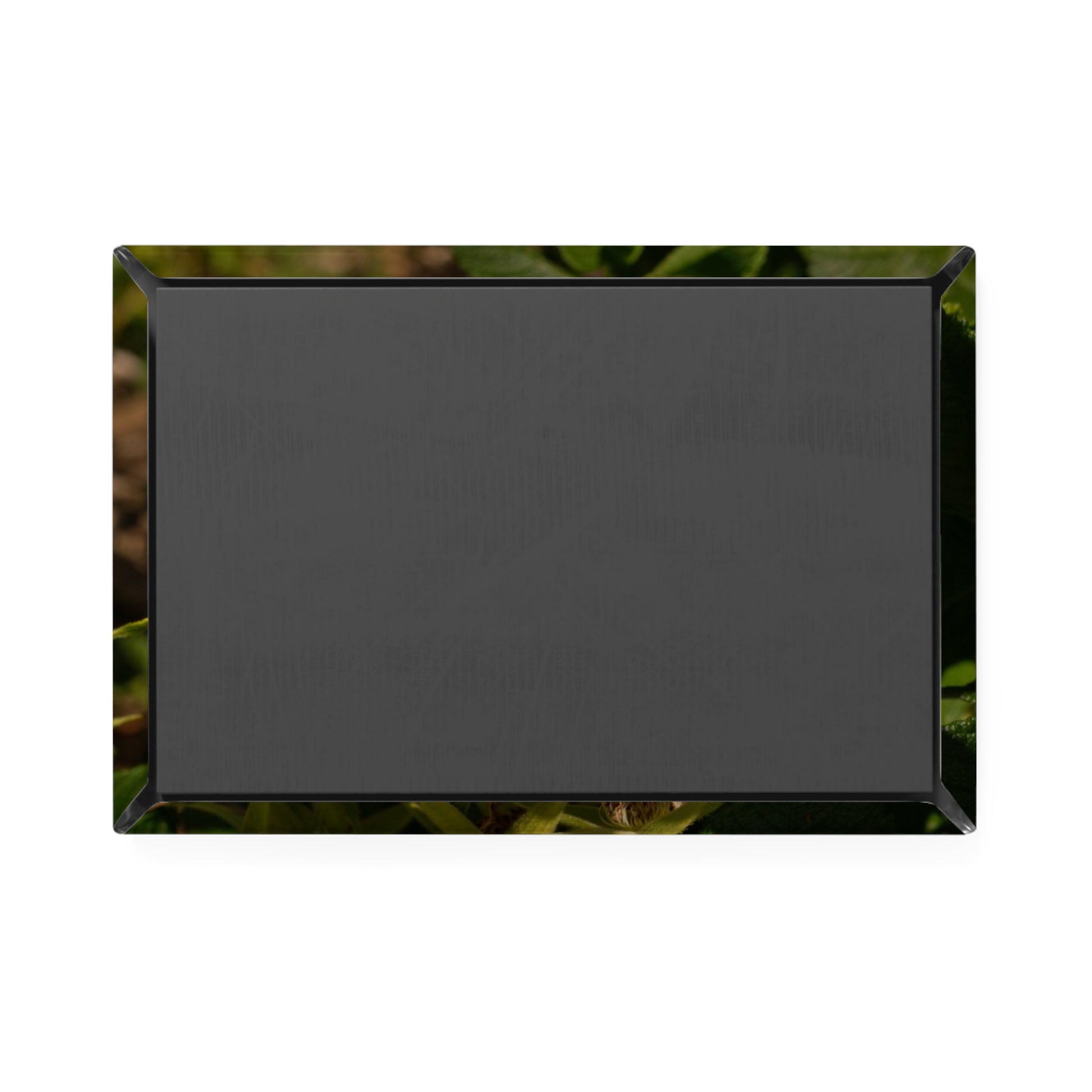 Back view of a rectangular button magnet.