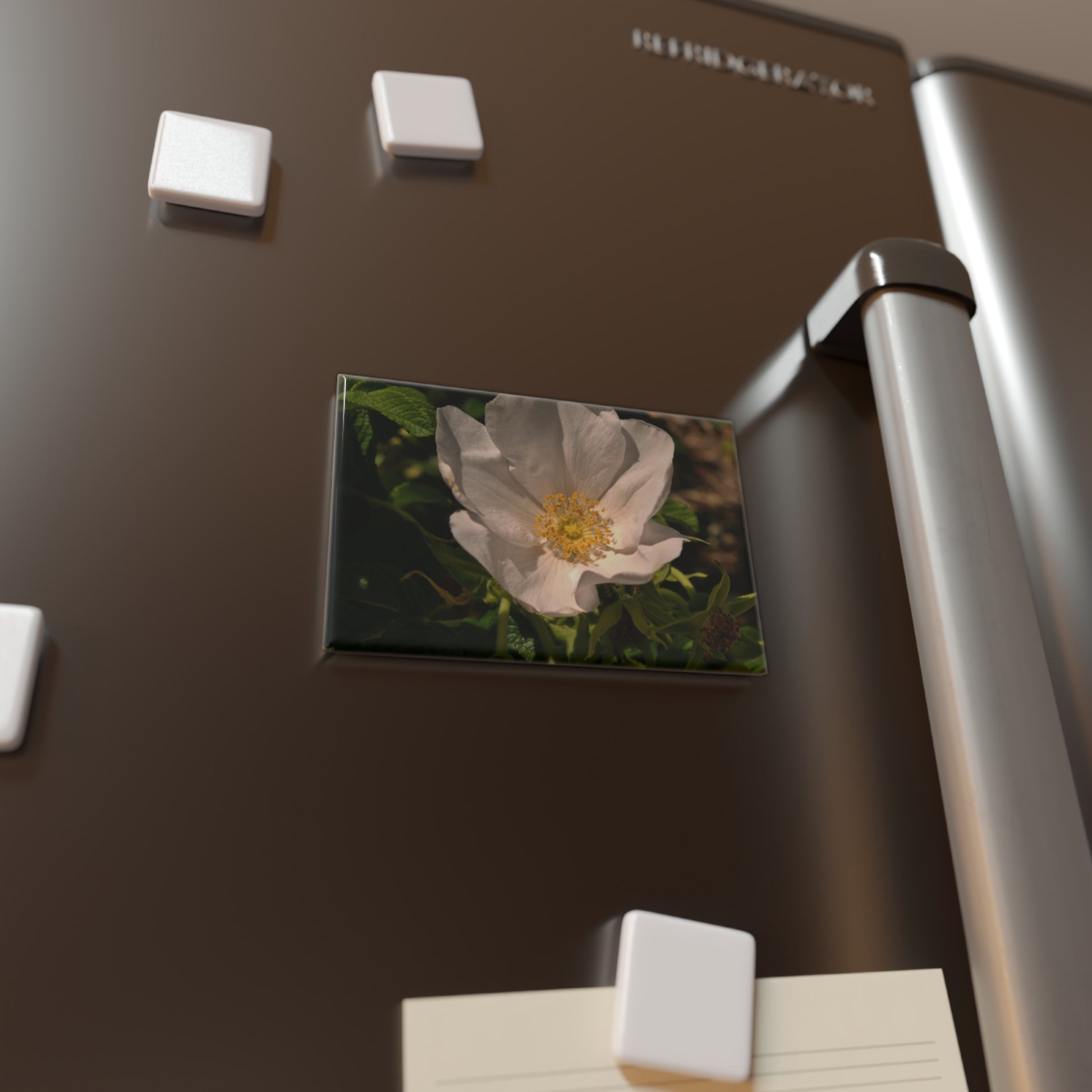 Lifestyle photo of a rectangular button magnet with an image of a single white rose bloom in the center, surrounded by green leaves, placed on a fridge.