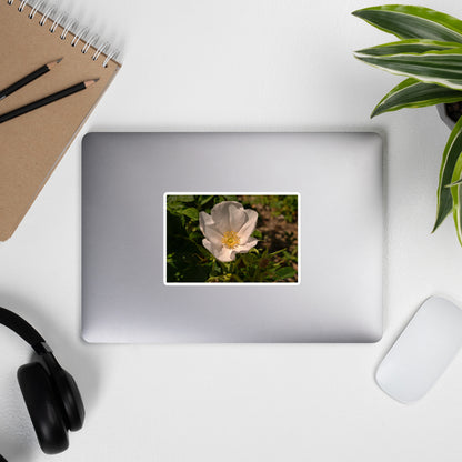 Lifestyle photo of a rectangular vinyl sticker with an image of white rose bloom with yellow stamen, placed on the outside of a laptop.