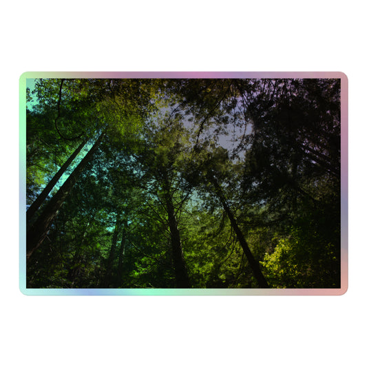 A large rectangular holographic sticker with an image of blue sky and a circle of redwood trees as seen from below.