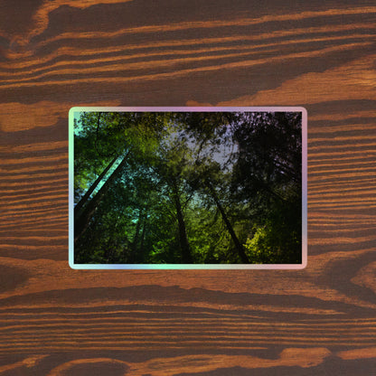 Lifestyle photo of a rectangular holographic sticker with an image of blue sky and a circle of redwood trees as seen from below, placed on a brown wooden table surface.