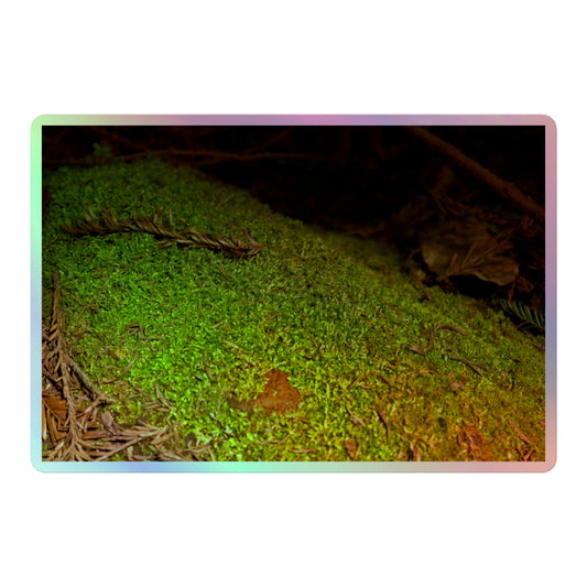 A large rectangular holographic sticker with an image of a layer of bright green moss on a fallen tree with redwood needles nearby.