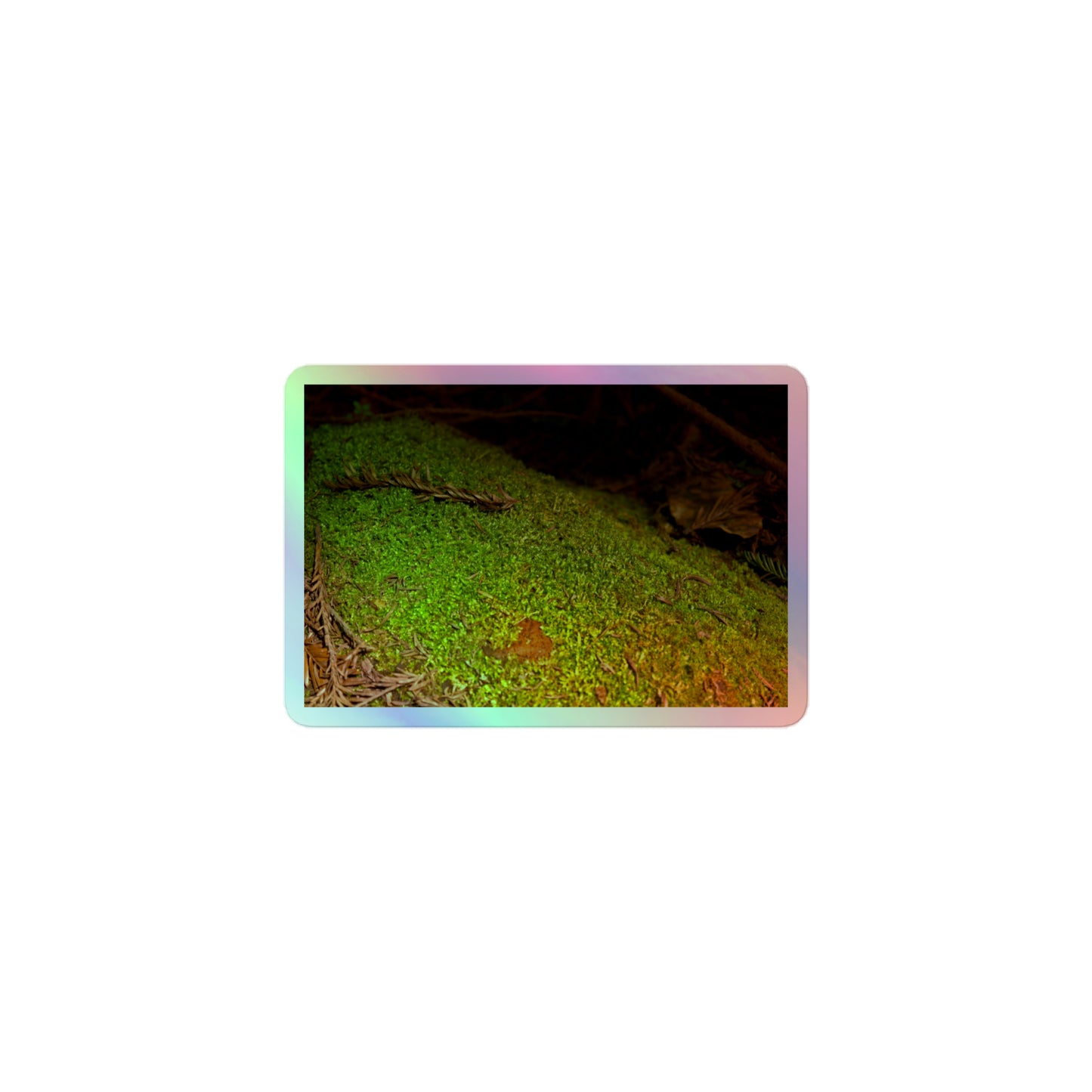 A small rectangular holographic sticker with an image of a layer of bright green moss on a fallen tree with redwood needles nearby.