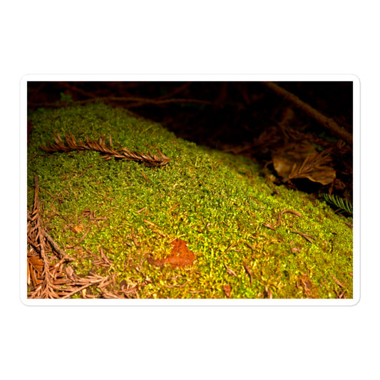 A large rectangular vinyl sticker with an image of green moss on a fallen tree.