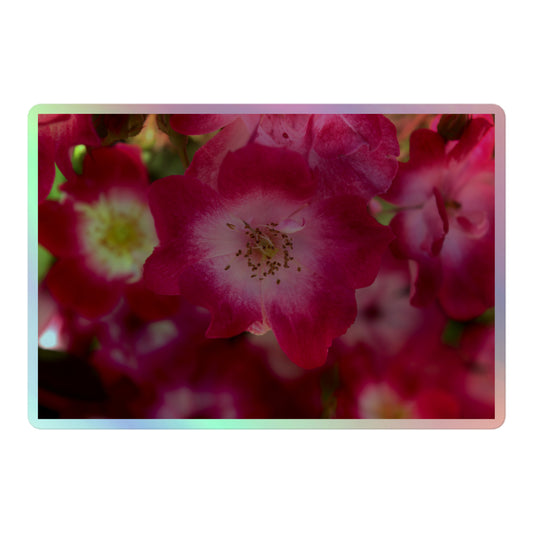 A large rectangular holographic sticker with an image of pink rose blooms with white centers.