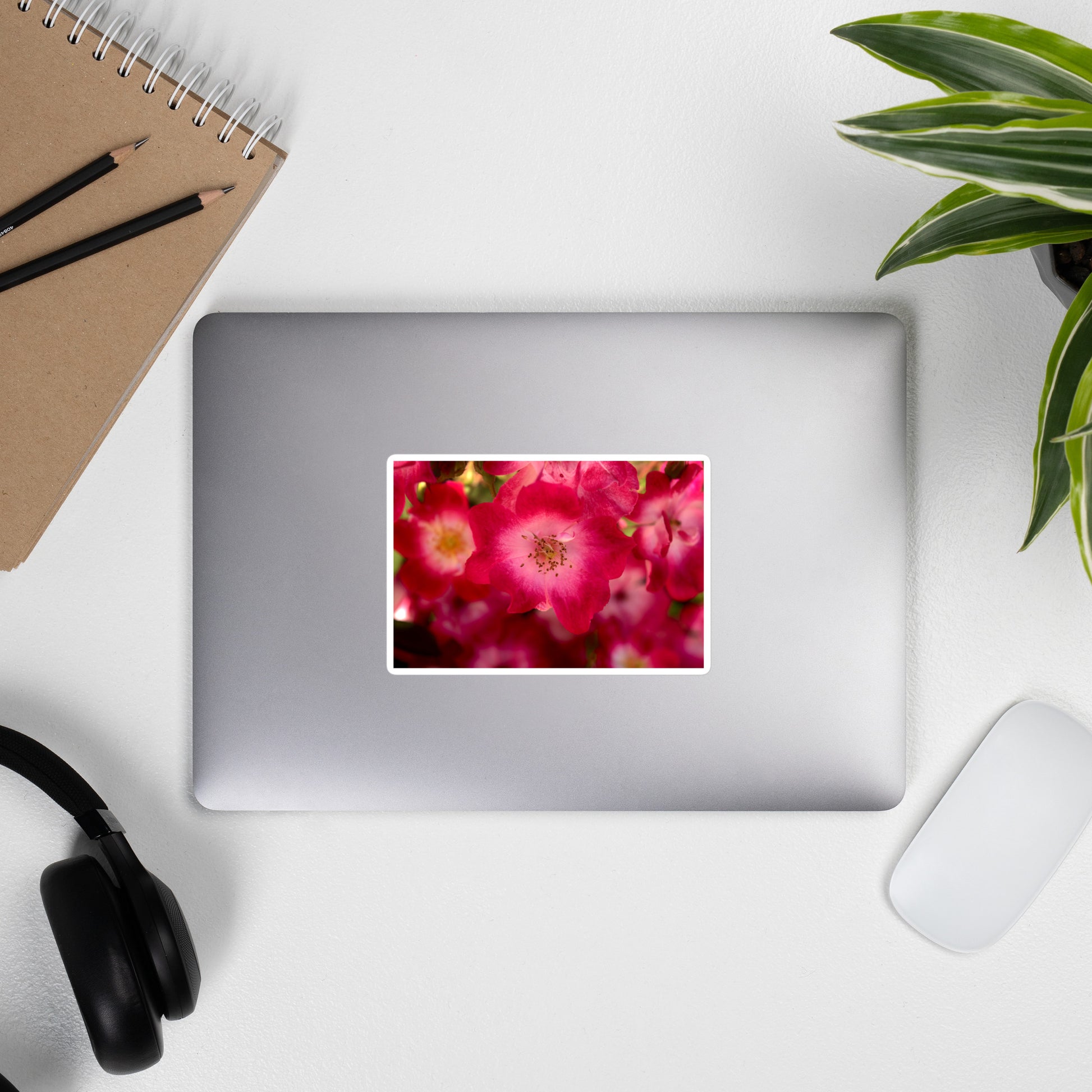 Lifestyle photo of a rectangular vinyl sticker with an image of dark pink flowers with white centers, placed on the outside of a laptop.