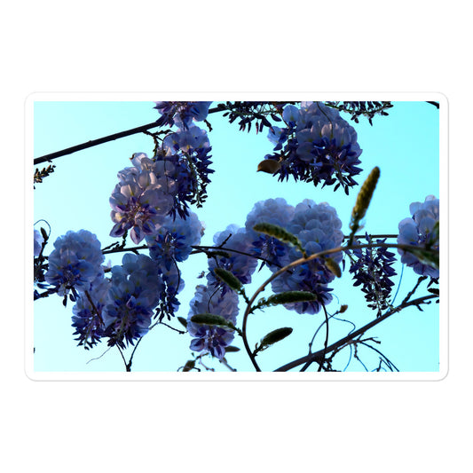 A large rectangular vinyl sticker with an image of a blue sky and purple wisteria blooms.