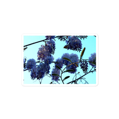 A medium rectangular vinyl sticker with an image of a blue sky and purple wisteria blooms.