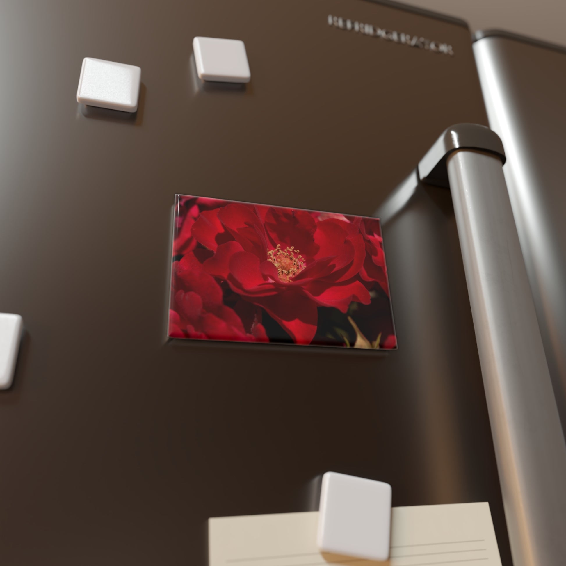 Lifestyle photo of a rectangular button magnet featuring a close-up of a scarlet rose with velvety petals, placed on a fridge.