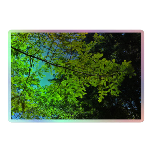 A large rectangular holographic sticker with an image of a redwood tree branch with blue sky behind it.