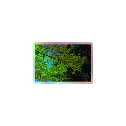 A small rectangular holographic sticker with an image of a redwood tree branch with blue sky behind it.