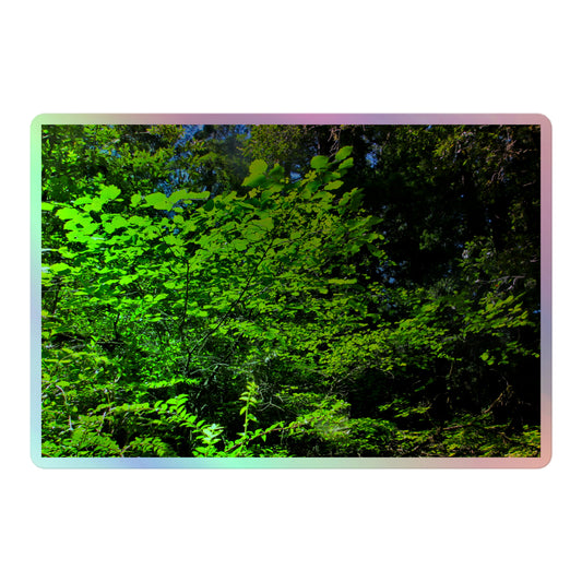 A large rectangular holographic sticker with an image of sunlit, bright green tree leaves.