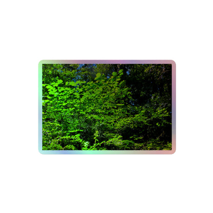 A medium rectangular holographic sticker with an image of sunlit, bright green tree leaves.