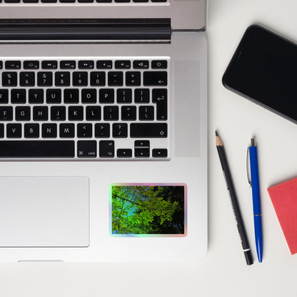 Lifestyle photo of a rectangular holographic sticker with an image of a redwood tree branch with blue sky behind it, placed on a laptop to the right of the mouse pad.