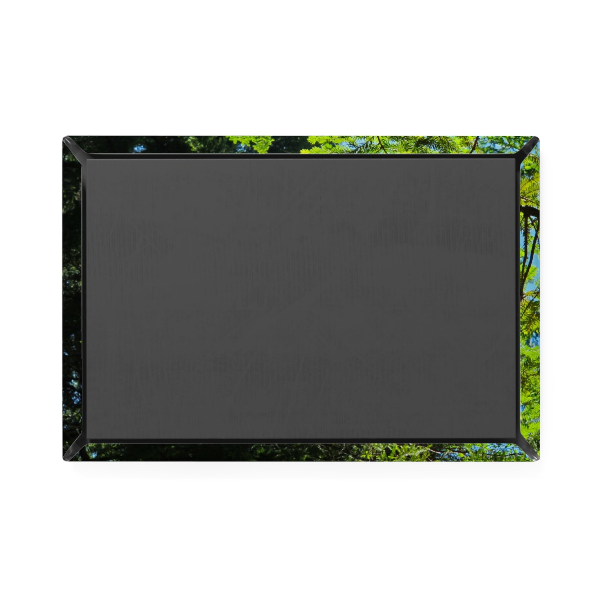 Back view of a rectangular button magnet.