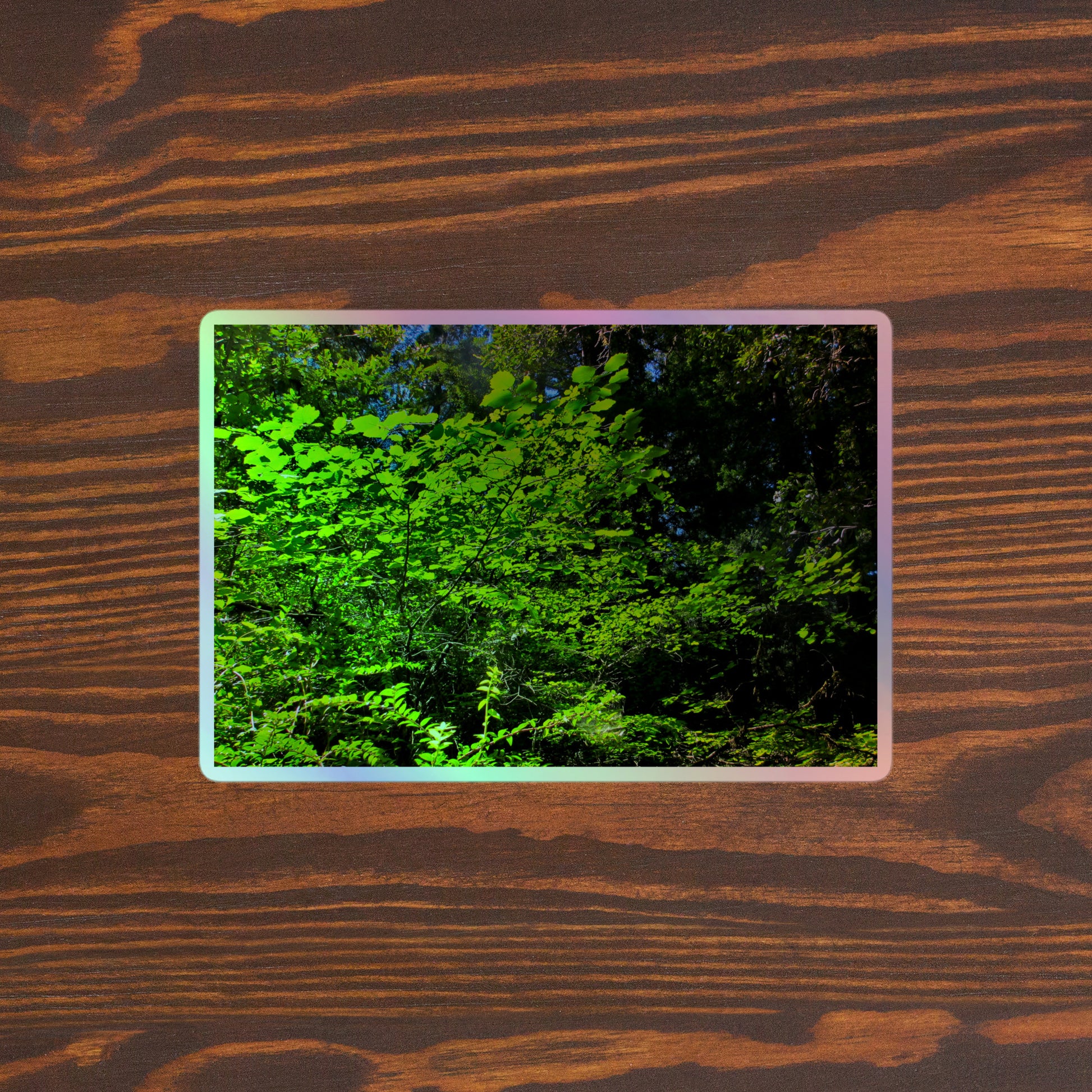 Lifestyle photo of a rectangular holographic sticker with an image of sunlit, bright green tree leaves, placed on a brown wooden table surface.