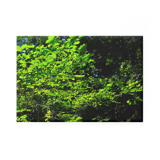 A rectangular button magnet with an image of sunlight streaming through green tree leaves.