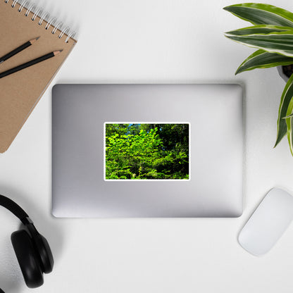 Lifestyle photo of a rectangular vinyl sticker with an image of backlit bright green tree leaves, placed on the outside of a laptop.