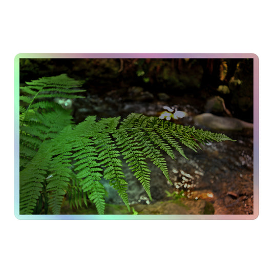 A large rectangular holographic sticker with an image of a bright green fern with a forest creek in the background.