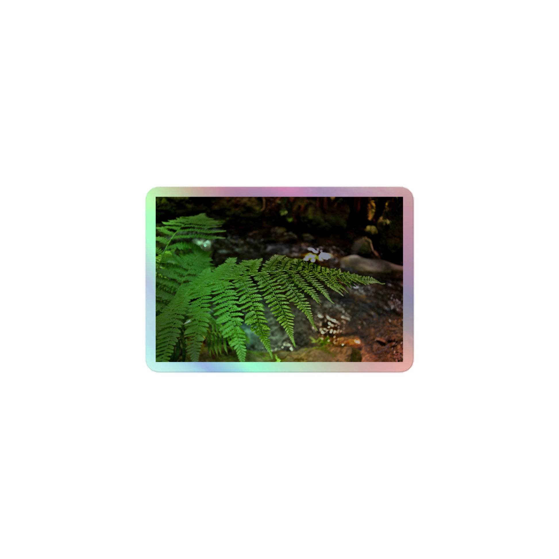 A small rectangular holographic sticker with an image of a bright green fern with a forest creek in the background.