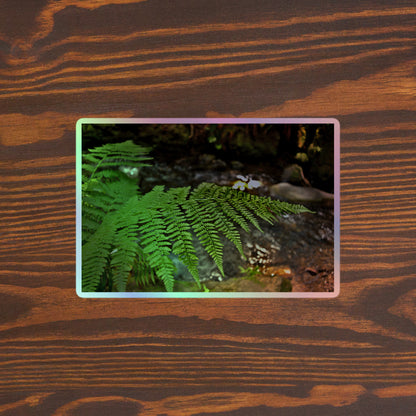 Lifestyle photo of a rectangular holographic sticker with an image of a bright green fern with a forest creek in the background, placed on a brown wooden table surface.