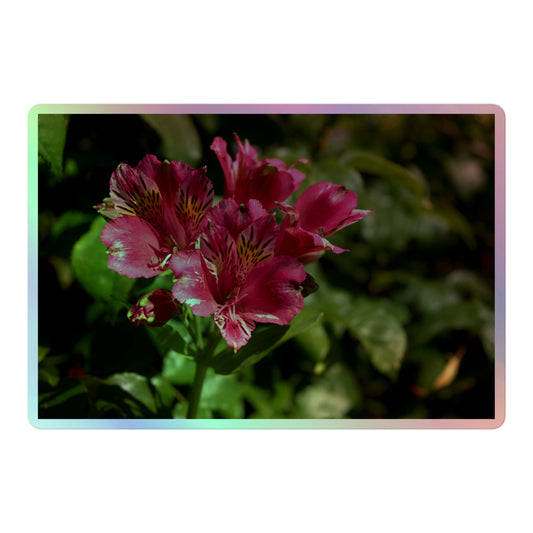 A large rectangular holographic sticker with a close-up image of vivid pink Peruvian Lilies with yellow accents.