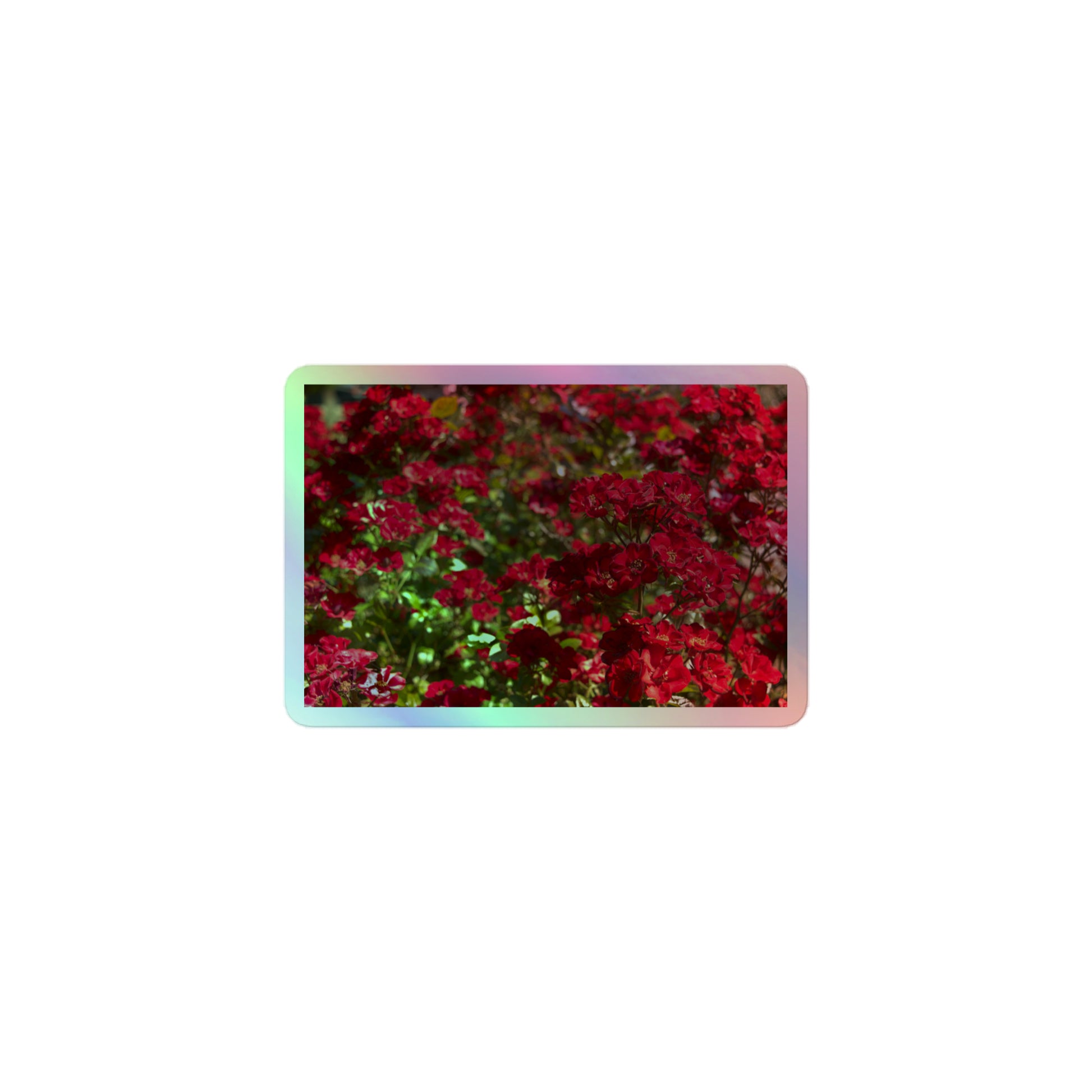 A small rectangular holographic sticker with an image of many small, bright red flowers.