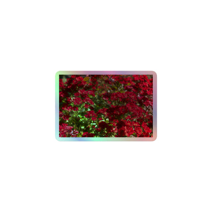 A small rectangular holographic sticker with an image of many small, bright red flowers.