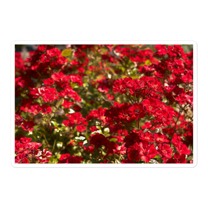A large rectangular vinyl sticker with an image of a bush of bright red flowers.