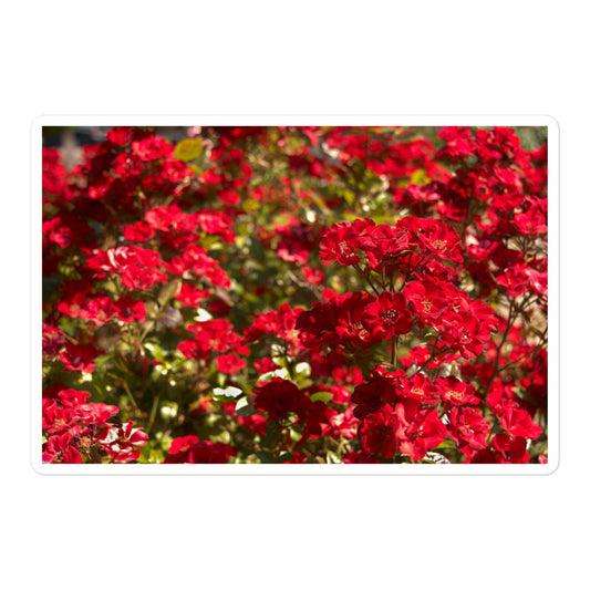 A large rectangular vinyl sticker with an image of a bush of bright red flowers.