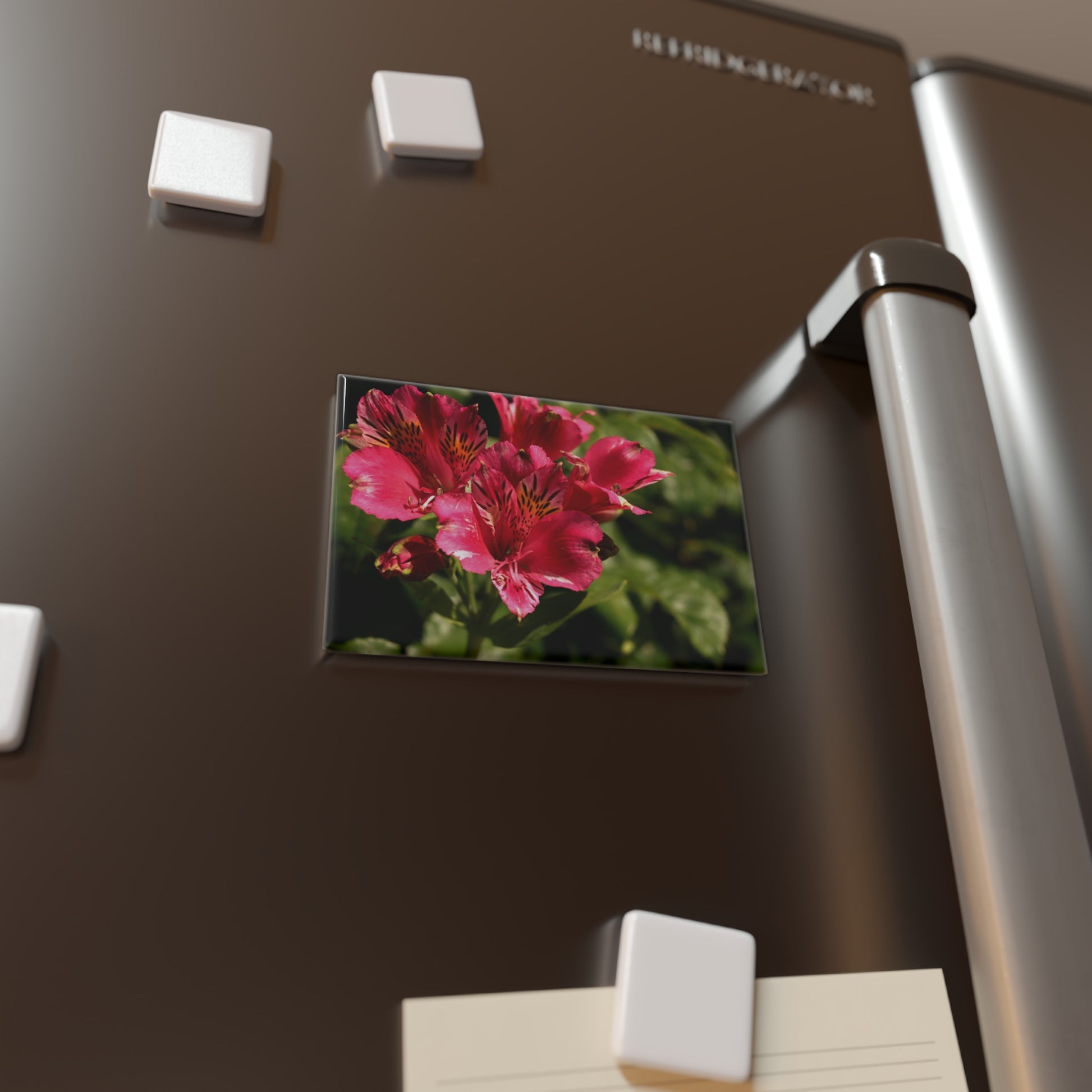 Lifestyle photo of a rectangular button magnet featuring a close-up of a cluster of vibrant pink and yellow Peruvian lilies, placed on a fridge.