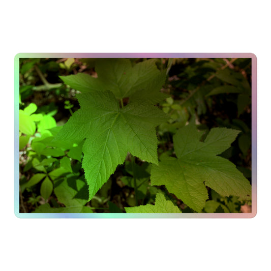 A large rectangular holographic sticker with a close-up image of light green blackberry leaves.