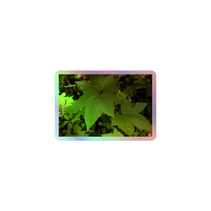 A small rectangular holographic sticker with a close-up image of light green blackberry leaves.