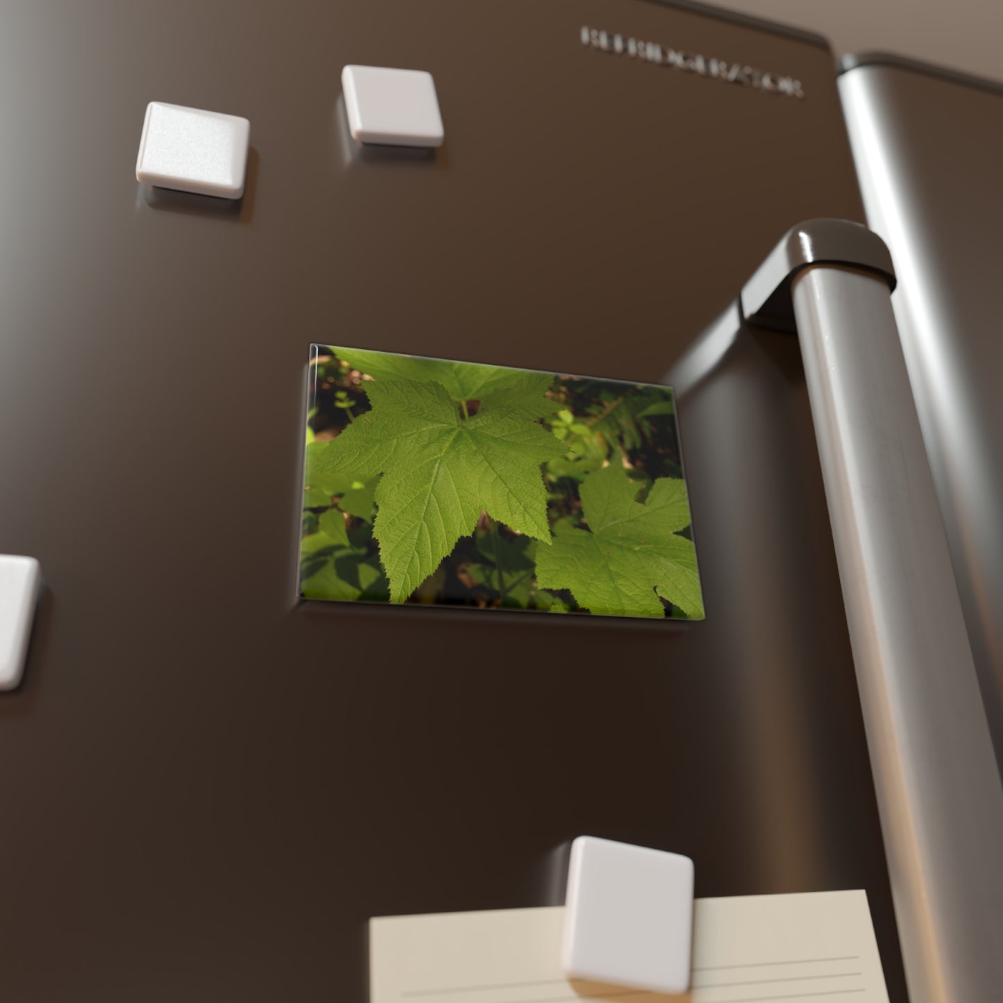 Lifestyle photo of a rectangular button magnet with an image of a green wild blackberry leaf on a forest floor backdrop, placed on a fridge.