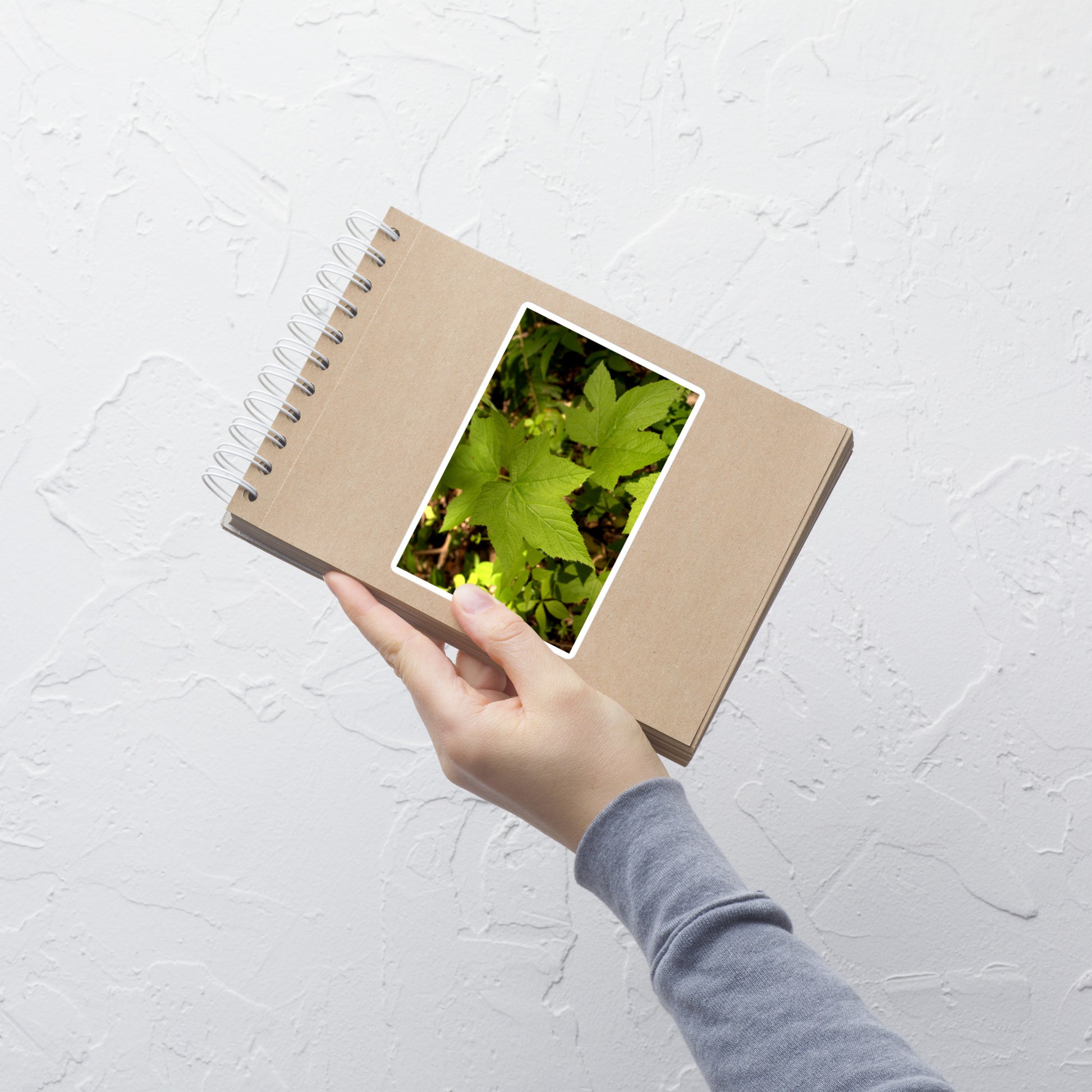 Lifestyle photo of a rectangular vinyl sticker with an image of light green blackberry leaves on a forest floor, placed on a small notepad.